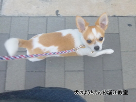 20191009h (10).JPG