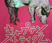 200801310040000.jpg