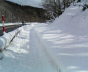 200802161135000.jpg