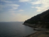 海