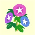 iPhoneImage.png