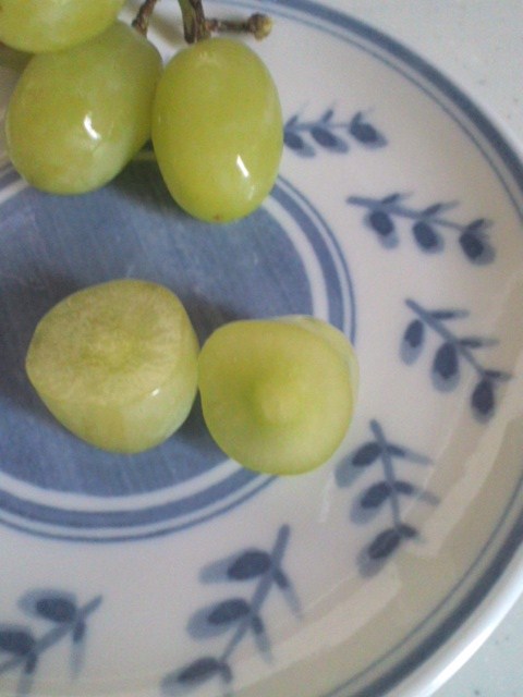 食べてみた】チリ産青ぶどうを買ってみた | 皮ごと食べられるウマウマぶどう通販 食べてみた】チリ産青ぶどうを買ってみた | 皮ごと食べられるウマウマぶどう通販