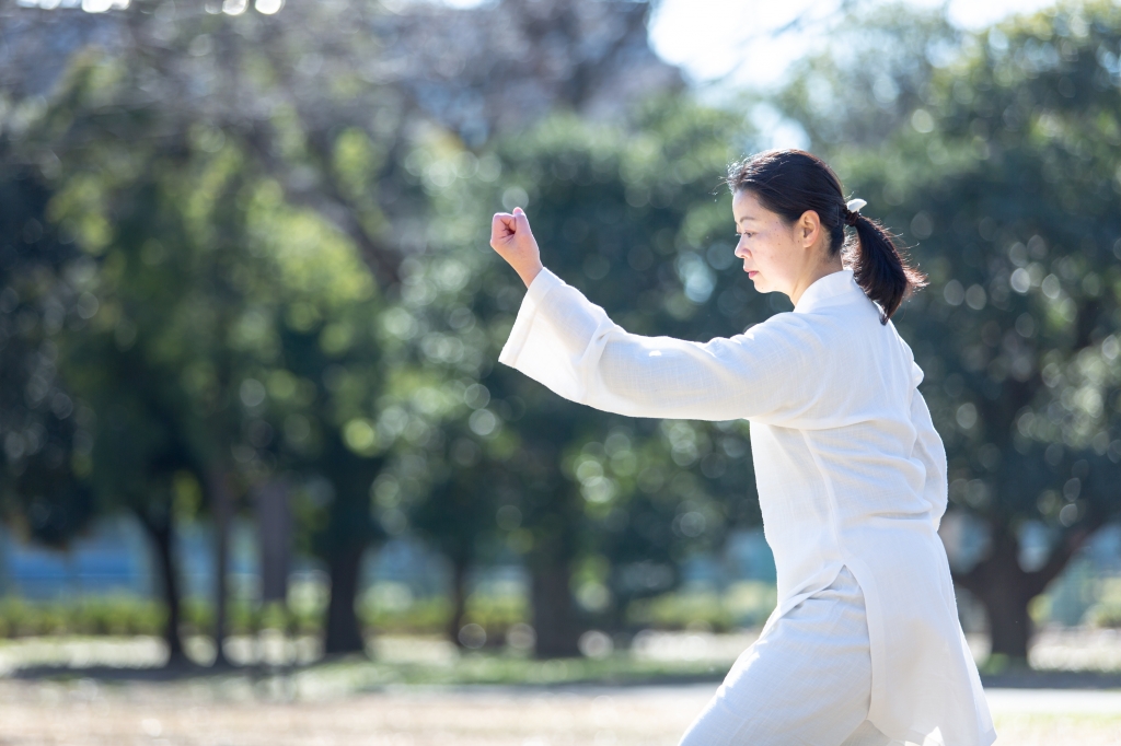 太極拳 | みんみんの陽だまり太極道日記