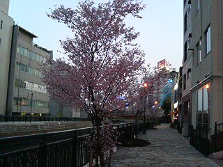20070328_301901.jpg