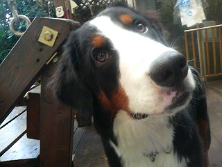 20070903155628.jpg