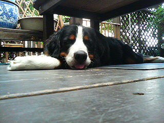 20070903155222.jpg