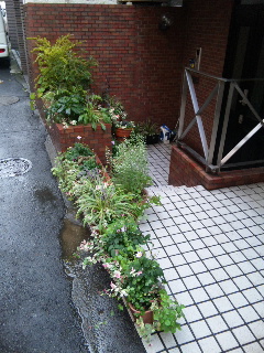 131002_160524.jpg