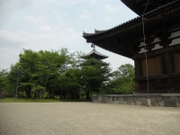 東寺2
