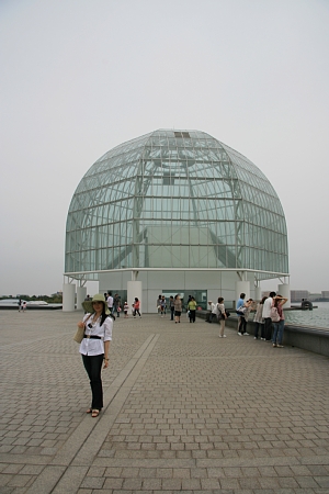 reIMG_0527.jpg