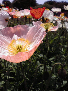 2011042911310000.jpg