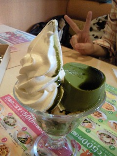 20110304
