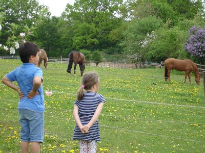 馬とともに育つ子どもたち?