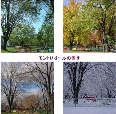 モントリオール四季
