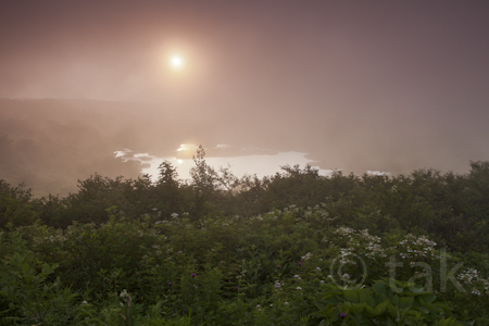 霧ヶ峰