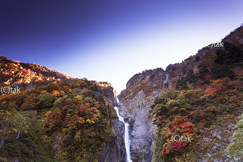 称名滝