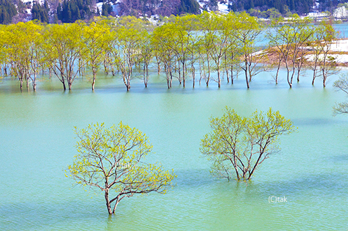 白川湖