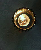 20061215_264220.jpg