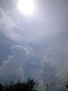 080727_1328~0002.jpg