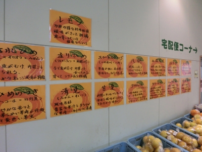 CIMG8788.JPG