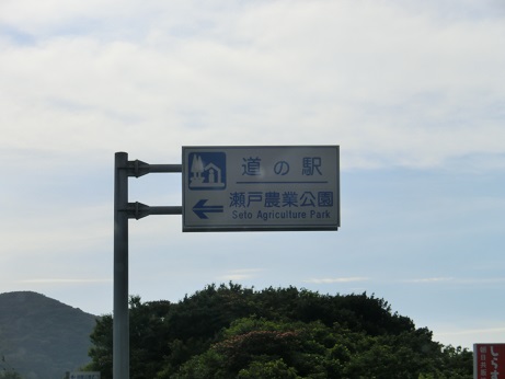 CIMG8910.JPG