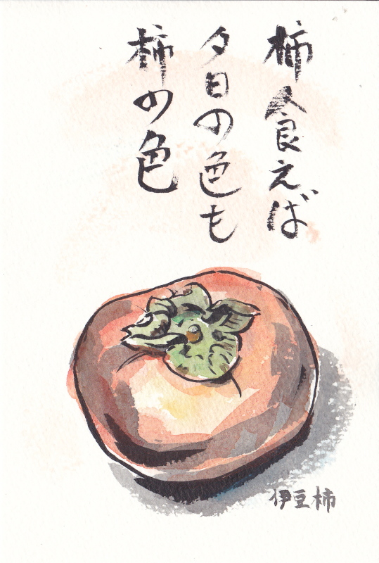 柿の絵手紙 | 絵ときどきワンコ