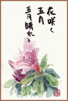 さつき絵手紙