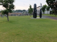 芝生