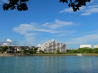 保田ヶ池2