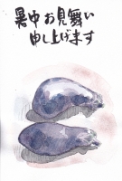 暑中お見舞い