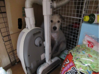 掃除機るい