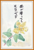 金瓶梅