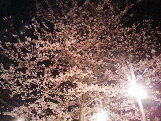200804062044000.jpg