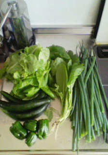 200805251159000.jpg