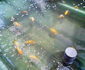 200807191254001.jpg