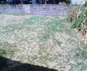 200807191358000.jpg