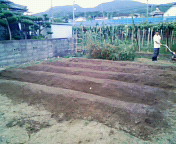 200807191649000.jpg