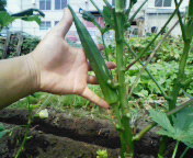 200808231256000.jpg