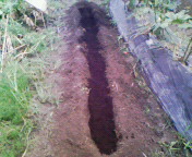 200808231254000.jpg