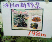 200808231056000.jpg