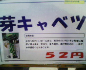 200808231042000.jpg