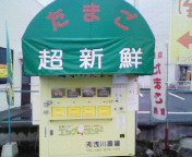 200808231040000.jpg