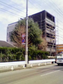 200903171146000.jpg