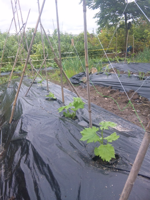 100526_133638.jpg