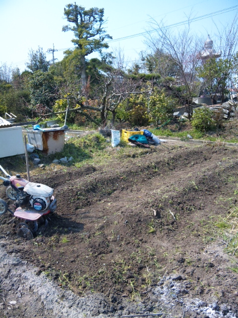 110328_105711.jpg