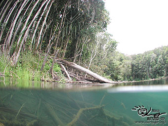 fresh water diving