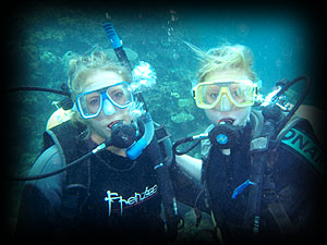 PADI open water diver course !