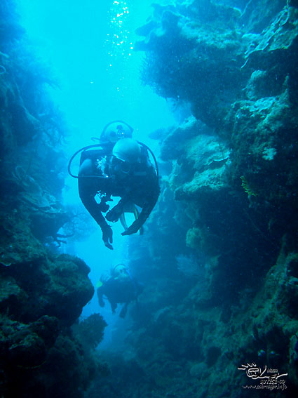 Diving at Great Barrier Reef.