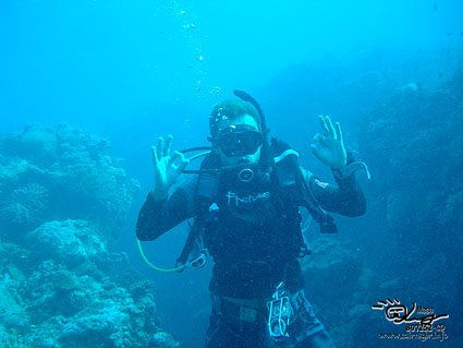 Congratulations at Great Barrier Reef!