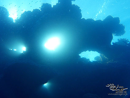 Beautiful light!