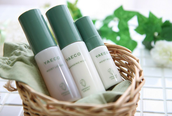 yaeco013.jpg
